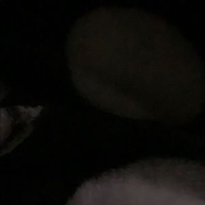 Meet your Posher, Hank